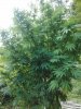 IMG_20130827_191034.jpg