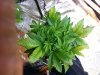 20130830_195931.jpg