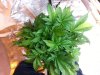 20130830_195753.jpg
