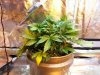 20130830_195651.jpg