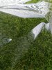 IMG_20220202_103655.jpg