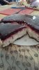 20130903_154956.jpg