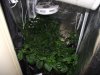DSCF3179.jpg