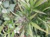 20130823_142347.jpg