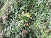 20130823_142556.jpg