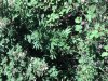 2013-08-02_15-38-17_279.jpg