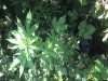 2013-07-19_11-28-41_104.jpg