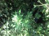 2013-07-19_11-28-31_895.jpg