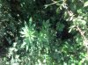 2013-07-19_11-28-24_766.jpg