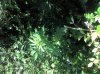 2013-07-19_11-27-45_182.jpg
