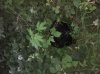 2013-07-12_21-30-43_133.jpg