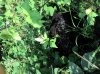 2013-07-05_17-14-14_422.jpg