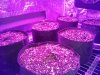 20130903_185312.jpg