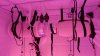 DSC01525.jpg