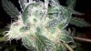 2013-09-06_21-47-20_919.jpg