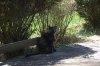 DSC_0005_NEF_shotwell.jpg