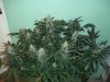 100_1673.jpg