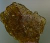 DSC_0789.jpg