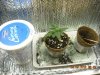 DSCN4135.jpg
