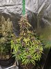 PXL_20220415_095719862.jpg