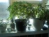 Day 33, just a quick update