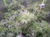 Day 36, 4 weeks to go!