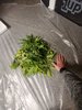 20211223_205911.jpg