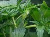 20130908_140956.jpg
