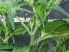 20130908_140945.jpg