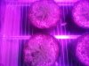 20130909_222731.jpg
