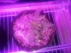 20130909_222802.jpg