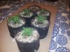 20130910_201048.jpg