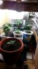 20130911_142800.jpg