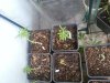 CameraZOOM-20130913085459015.jpg