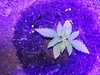 20220423_160831.jpg