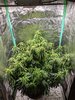 PXL_20220425_095535439.jpg