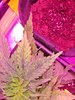 20220503_082635.jpg
