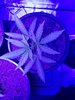 20220503_043328.jpg