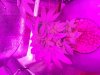20130915_072459.jpg