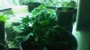 Snapshot_20130917_2.jpg