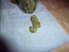 akrbud.jpg