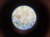 20220516_105634.jpg