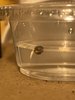 8C815513-ED92-4985-A34C-9543D1BF1E70.jpeg