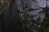 DSC_0018_NEF_shotwell.jpg