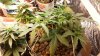 20130919_133849.jpg 20130919_133849.jpg