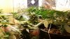 20130919_133922.jpg 20130919_133922.jpg