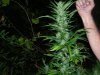 100_3261.jpg
