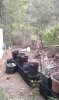IMAG0464.jpg