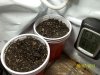 germination.jpg