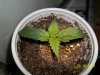 day 8 pic 2.jpg